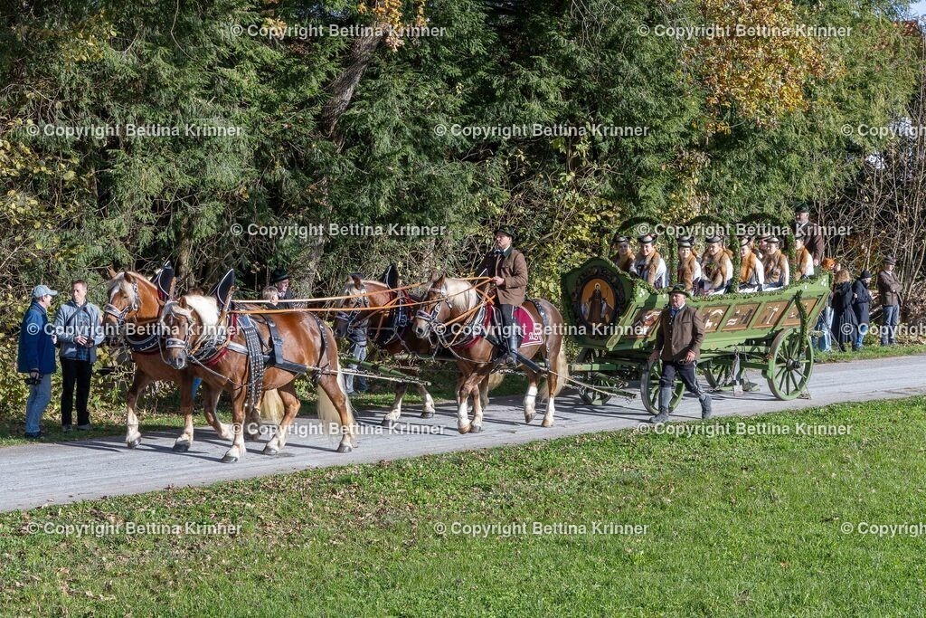 LBT24-723 | foto-bettina-krinner - Realisiert mit Pictrs.com