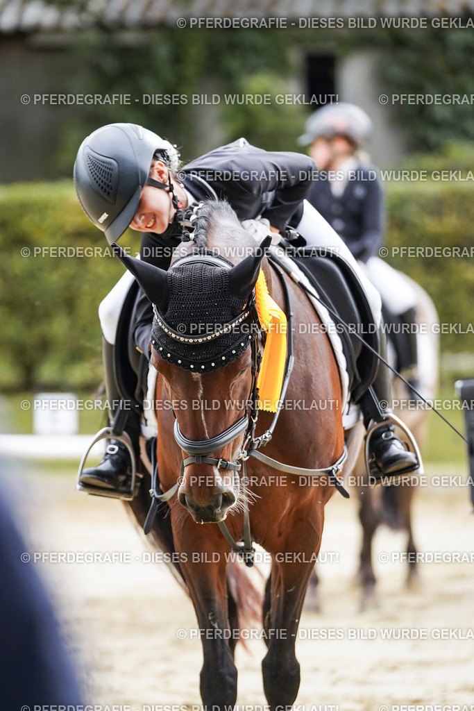 DSC05719 | Pferdegrafie