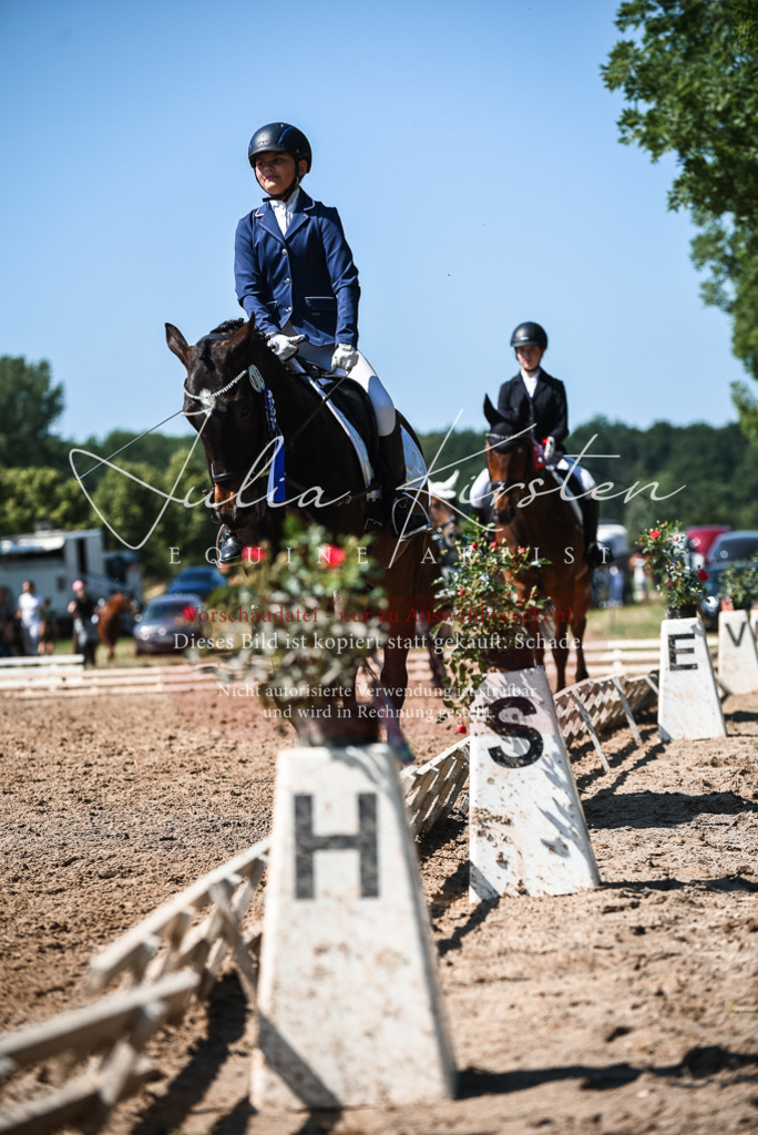 DSC_3707 | Pferde- und Turnierfotografie in Westsachsen. Pferdeportraits, Auftragszeichnungen und intuitive Kunst.