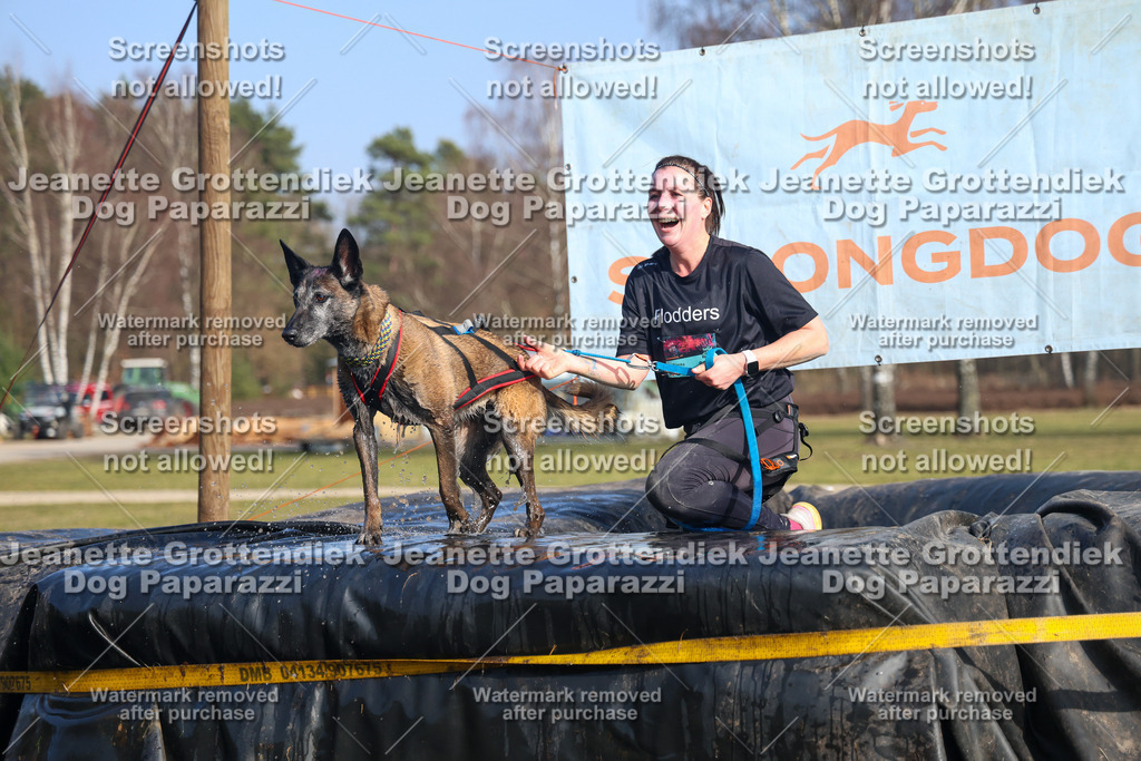 Dog Paparazzi - Strongdog North Mrz26-3206 | Dog Paparazzi Jeanette Grottendiek Fotografie & Videografie - Realisiert mit Pictrs.com