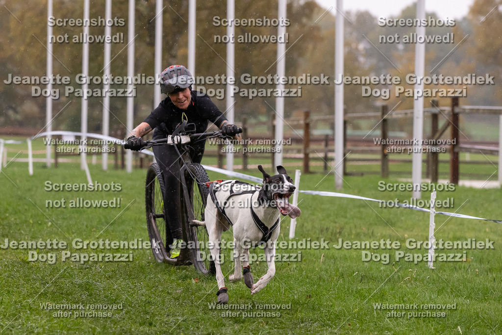 Dog Paparazzi - SD CaniX Championship 2025-888 | Dog Paparazzi Jeanette Grottendiek Fotografie & Videografie - Realisiert mit Pictrs.com