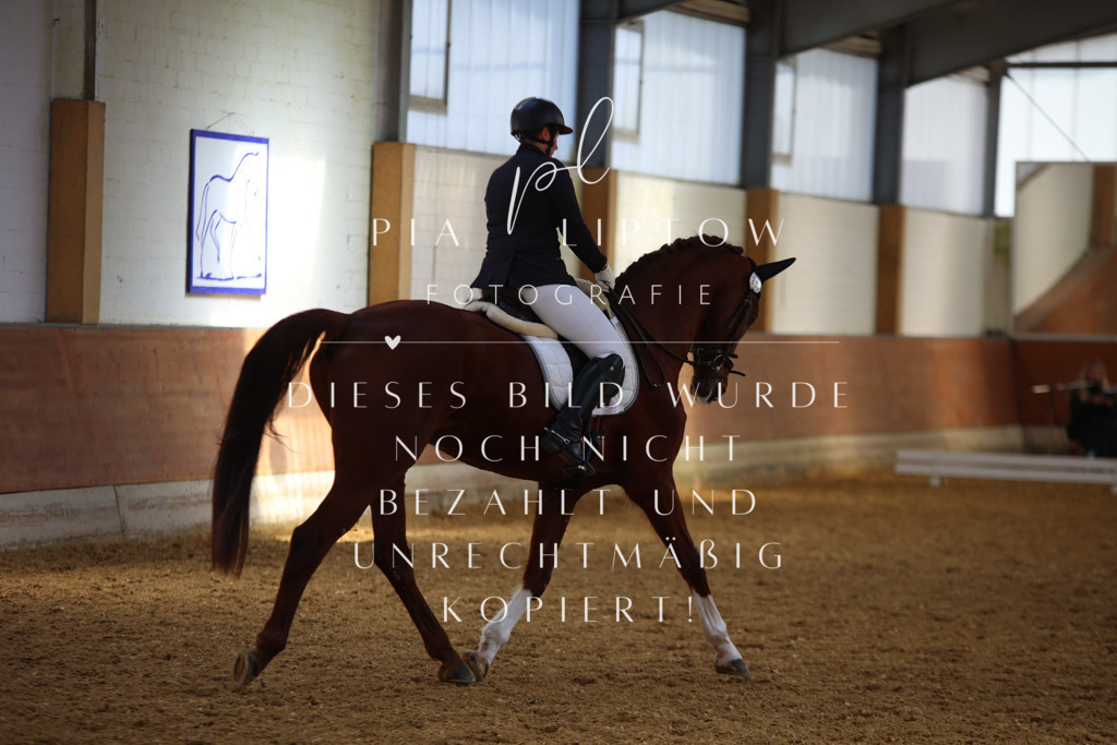 IMGT4860 | pl-fotografie