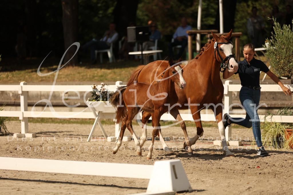 08.DoRPS00070 | Leoni Ertmer Photography - Realisiert mit Pictrs.com