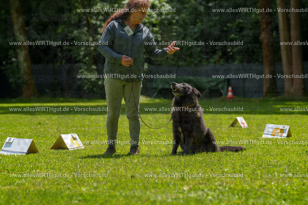 @allesWIRTHgut_Tierfotografie - www.allesWIRTHgut.de - 7R504676 | Professionelle Tierfotografie in Mönchengladbach von Daniel Wirth (allesWIRTHgut). Liebevolle & natürliche Bilder von Hunden & Katzen für unvergessliche Erinnerungen.