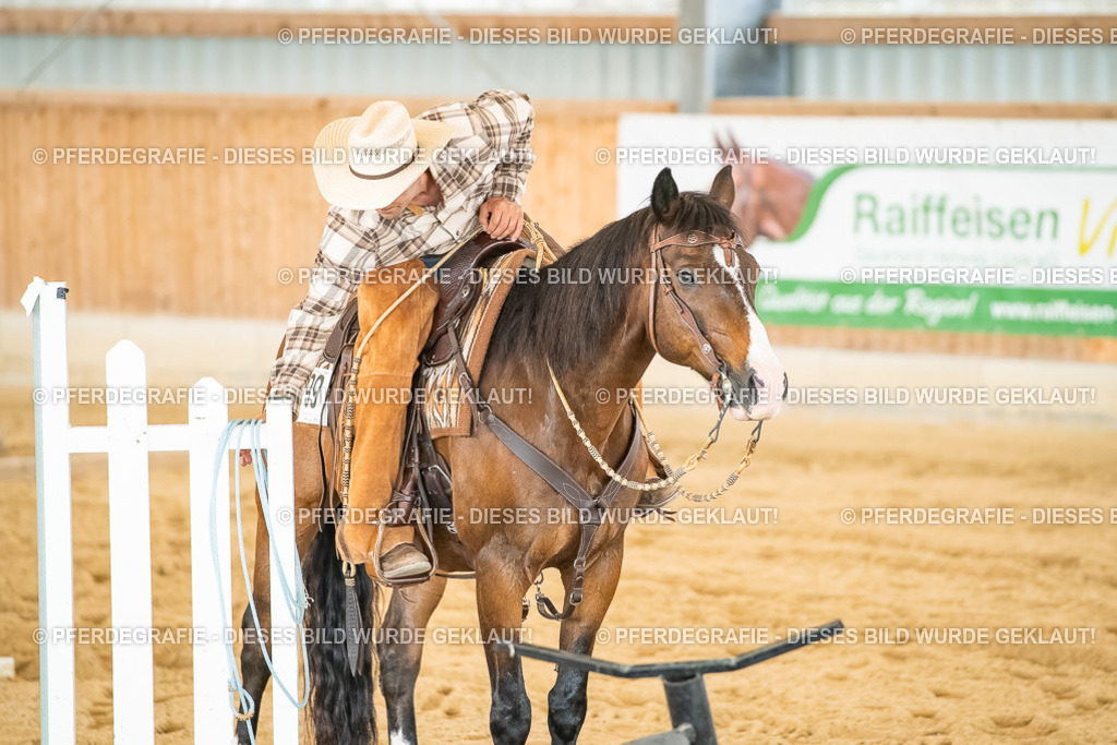 DSC07224 | Pferdegrafie