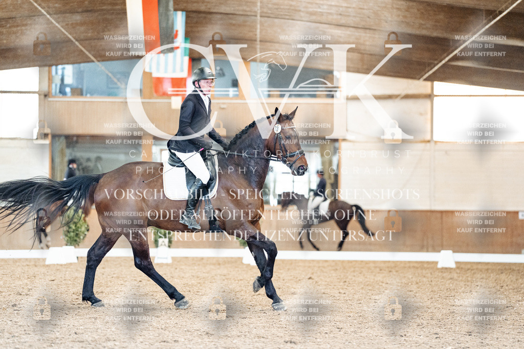 CK909067 | Turnierfotografie Pferdefotografie Trier Rheinland-Pfalz Pferdesport Reitsport Tierfotografie Sportfotografie Pferdevideo Pferdevideografie Equestrianvideography equestrianphotography  - Realisiert mit Pictrs.com