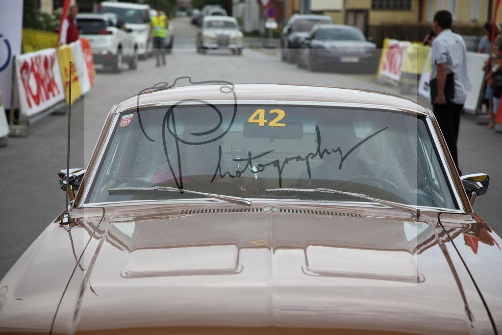 IMG_6022 | Gerhard Witt