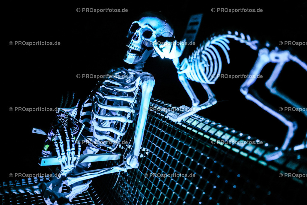 Halloween Run 2022 in Koeln, 31.10.2022 | Impressionen vom Halloween Run 2022 am 31.10.2022 in Koeln (Forstbotanischer Garten Rodenkirchen). Foto: BEAUTIFUL SPORTS/Axel Kohring