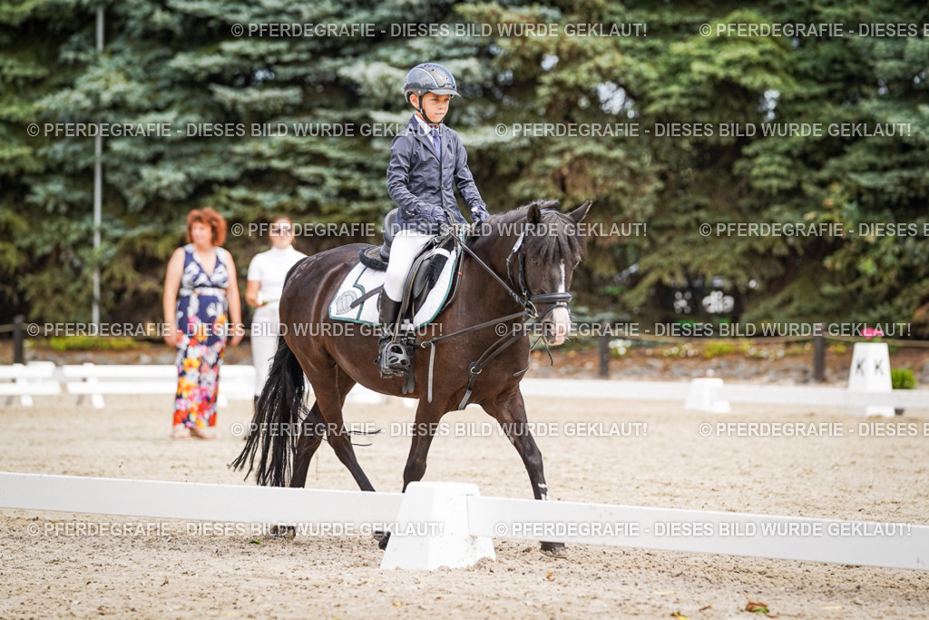 DSC02753 | Pferdegrafie