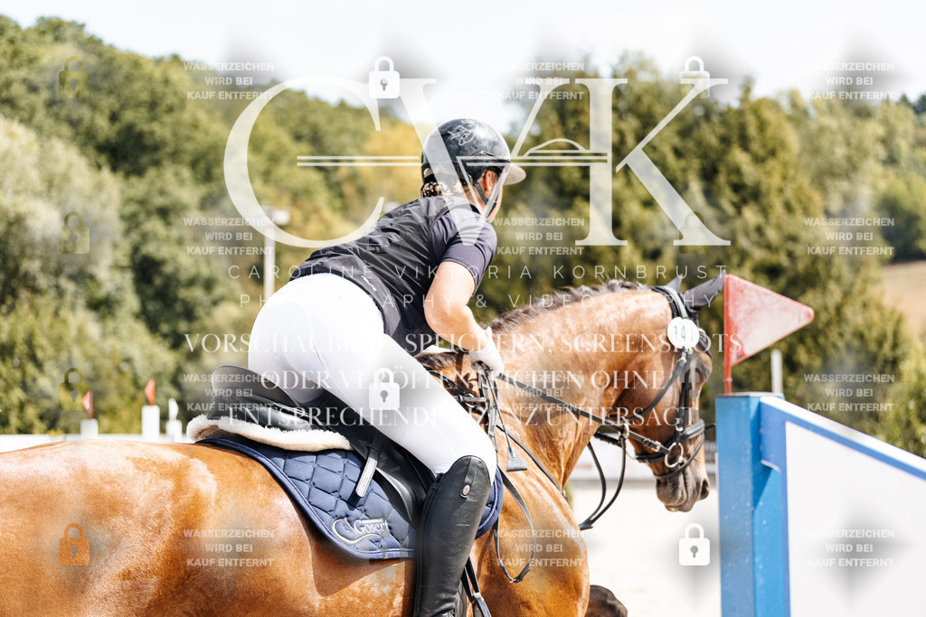 CK906506 | Turnierfotografie Pferdefotografie Trier Rheinland-Pfalz Pferdesport Reitsport Tierfotografie Sportfotografie Pferdevideo Pferdevideografie Equestrianvideography equestrianphotography  - Realisiert mit Pictrs.com