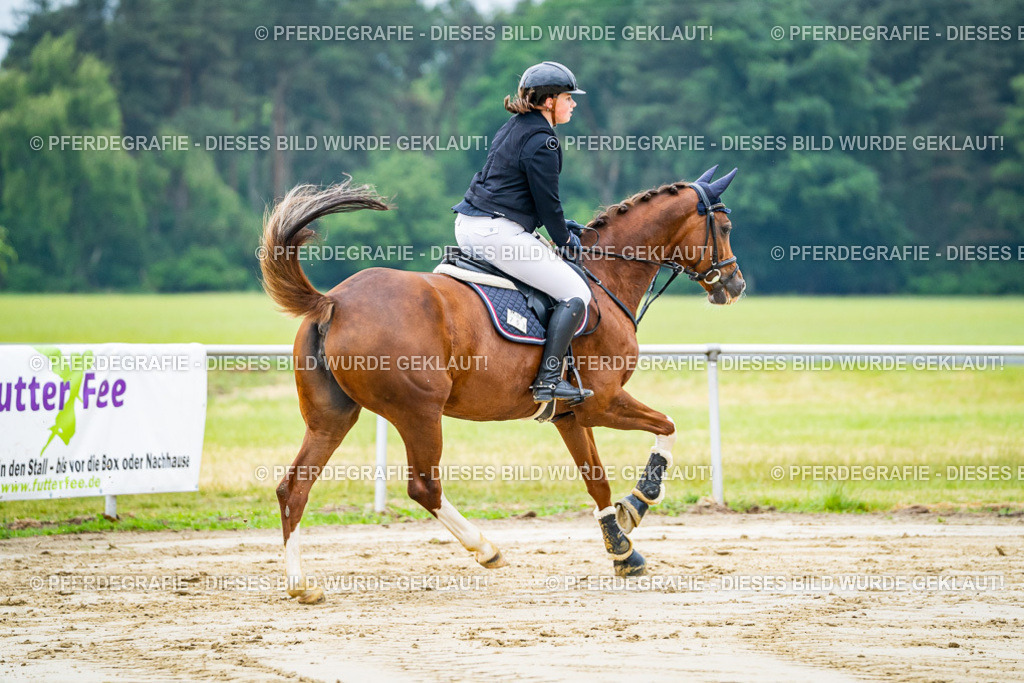 DSC02433 | Pferdegrafie