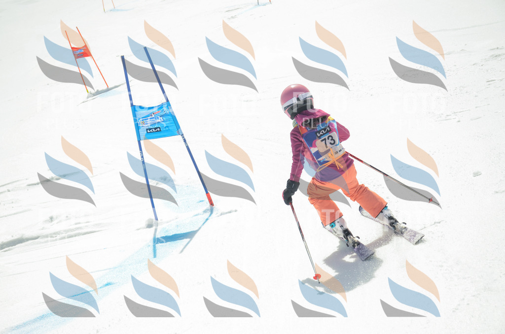 _ELE5464 | holidayphoto