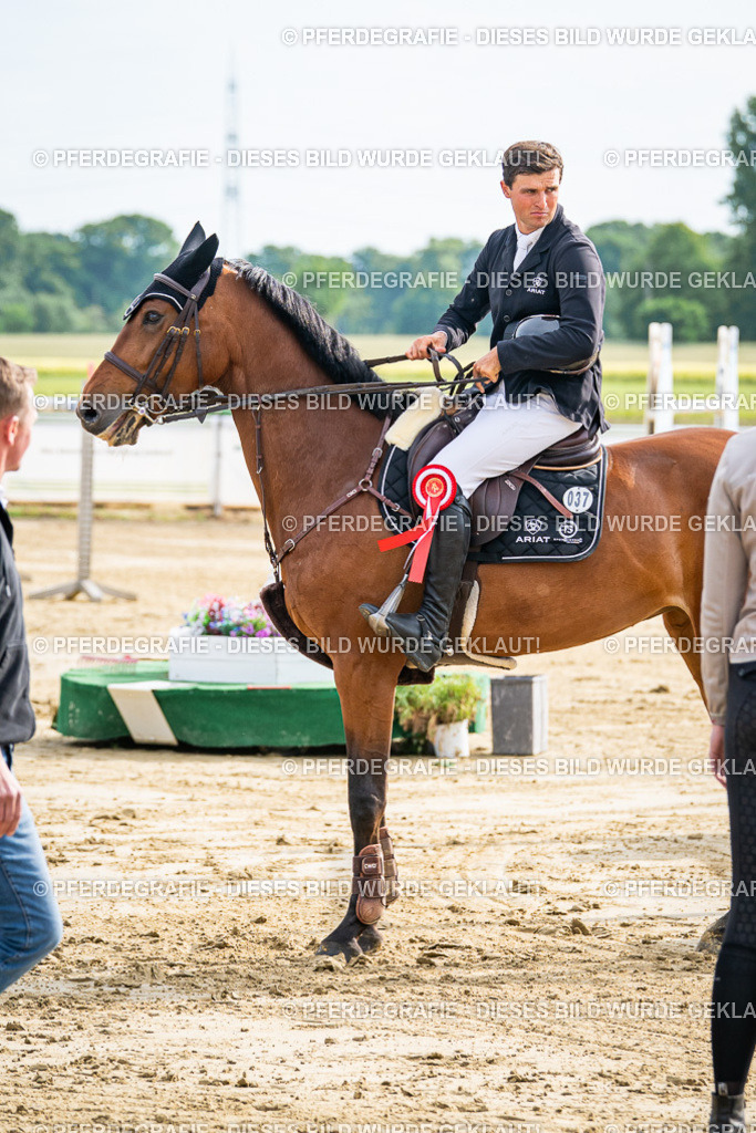 DSC07477 | Pferdegrafie