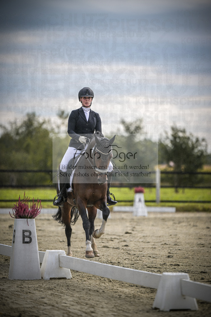 DOS_1139 | Entdecke hochwertige Reitturnierfotos von Foto Oger. Professionell, emotional und authentisch – jetzt Lieblingsmomente im Shop bestellen.Deutschlandweite Turnierfotografie. - Realisiert mit Pictrs.com