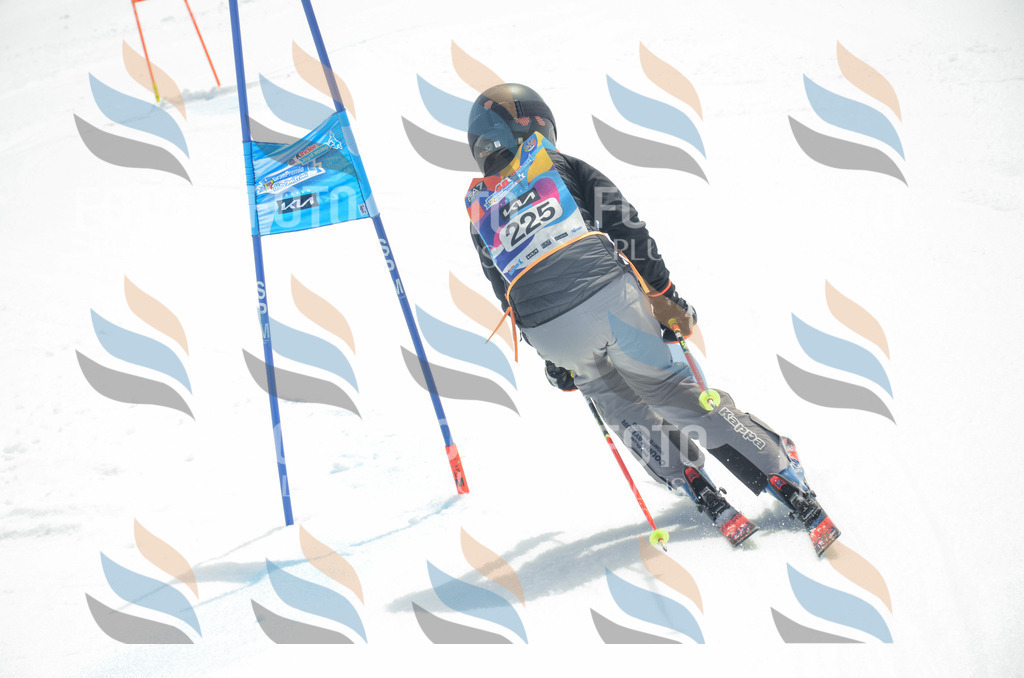 _ELE7238 | holidayphoto