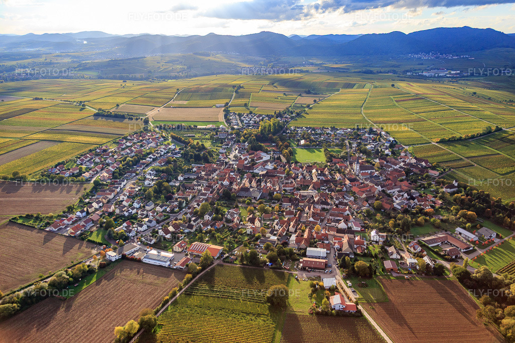 Luftbild: Ortsansicht zwischen herbstlichen Weinbergen aus Osten im Ortsteil Mörzheim in Landau im Bundesland Rheinland-Pfalz in Deutschland. Foto: IMG_074602.jpg vom 14.10.2014 durch Werner Riehm/FLY-FOTO.de