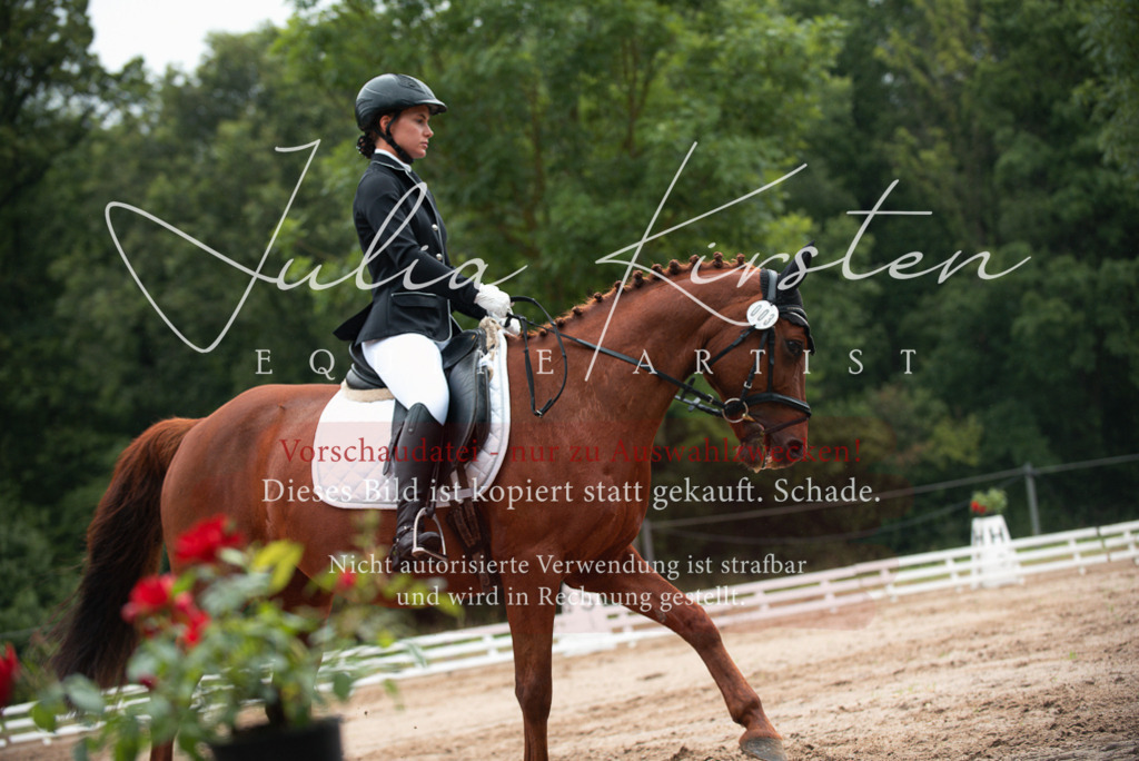 DSC_9782 | Pferde- und Turnierfotografie in Westsachsen. Pferdeportraits, Auftragszeichnungen und intuitive Kunst.