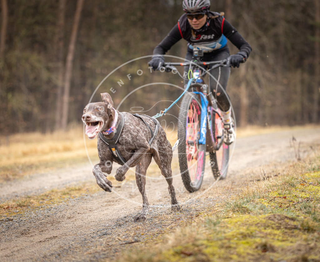 DV3A3178 | Hundefotografie, Tierfotograf, Pfotenfotografie, Fotoshooting Hund, Hunde Portrait, Hundesport, Hundeportraits, Heideshooting, Hunde, Sportfotograf, Hundefotograf, Turnierhundsport, THS,  - Realisiert mit Pictrs.com