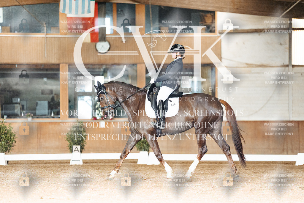 CK902709 | Turnierfotografie Pferdefotografie Trier Rheinland-Pfalz Pferdesport Reitsport Tierfotografie Sportfotografie Pferdevideo Pferdevideografie Equestrianvideography equestrianphotography  - Realisiert mit Pictrs.com