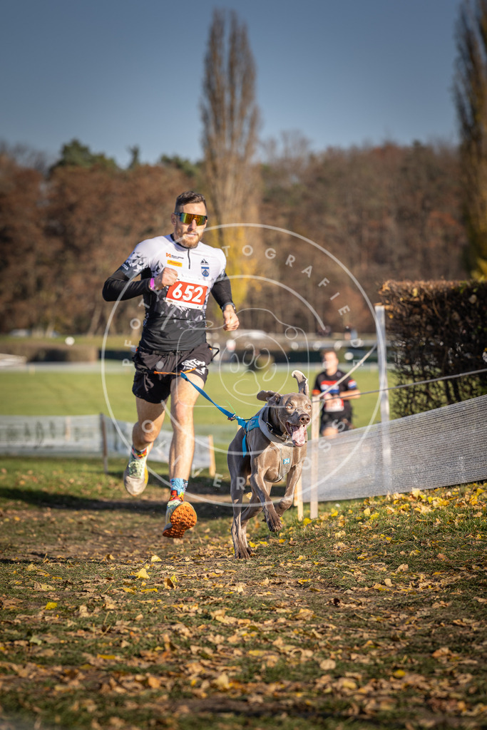 CaniXpix_DV3A0491 | Hundefotografie, Tierfotograf, Pfotenfotografie, Fotoshooting Hund, Hunde Portrait, Hundesport, Hundeportraits, Heideshooting, Hunde, Sportfotograf, Hundefotograf, Turnierhundsport, THS,  - Realisiert mit Pictrs.com