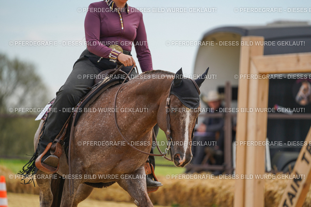 DSC03461 | Pferdegrafie