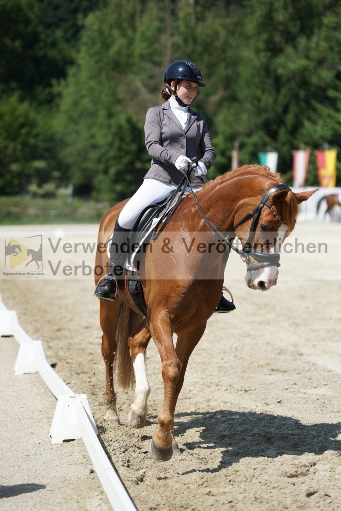 DSC01590 | equestrian-live-com