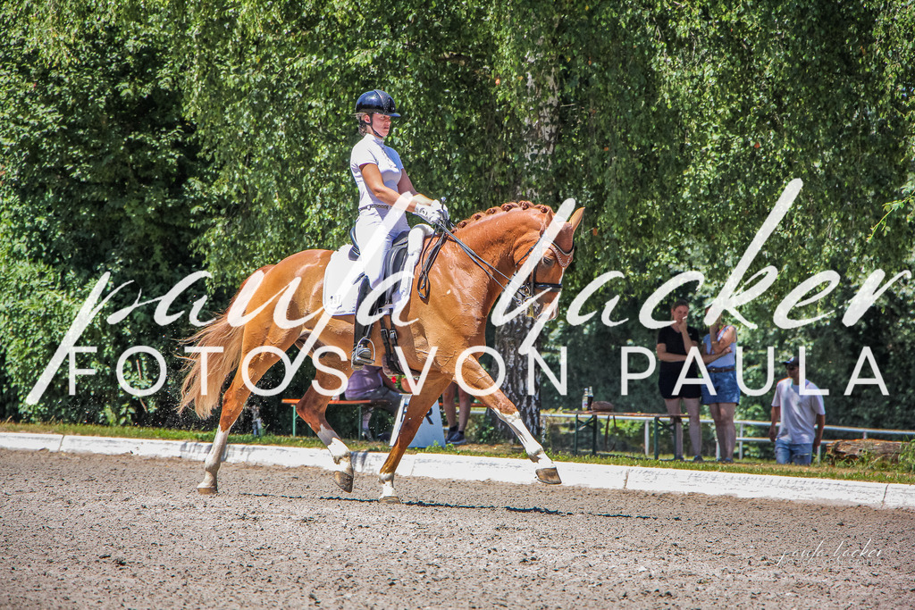 IMG_0967 | Erleben Sie dynamische Sport- und emotionale Tierfotografie in Süddeutschland mit Fotos von Paula. Spezialisiert auf Pferde- und Hundefotografie sowie Sportevents. Kontaktieren Sie mich für einzigartige und ausdrucksstarke Bilder Ihrer besonderen Momente. - Realisiert mit Pictrs.com