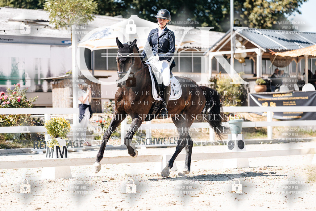 CK900300 | Turnierfotografie Pferdefotografie Trier Rheinland-Pfalz Pferdesport Reitsport Tierfotografie Sportfotografie Pferdevideo Pferdevideografie Equestrianvideography equestrianphotography  - Realisiert mit Pictrs.com