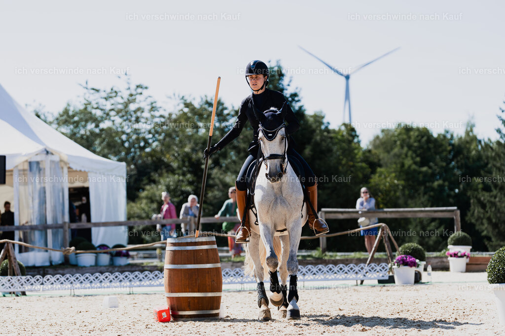Svea13FHC2025-08710 | working equitationturnier fotograf videograf stoibphotography marixx film working equitation deutschland reitsport turnierfotografie eventfotografie equestrian events