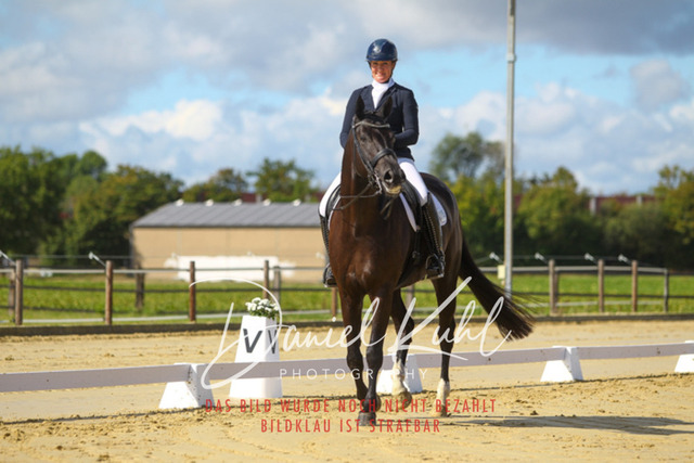 DKP44027 | Turniersportfotografie; Pferdefotografie; Dressurfotografie