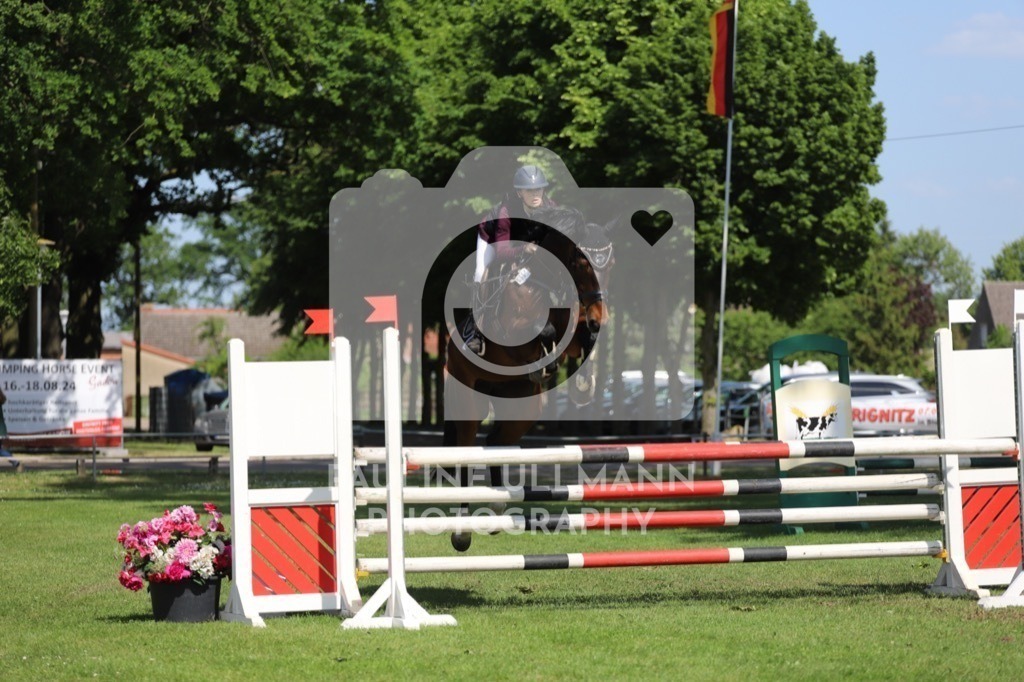 IMG_6519 | Pauline Ullmann Photography - Realisiert mit Pictrs.com