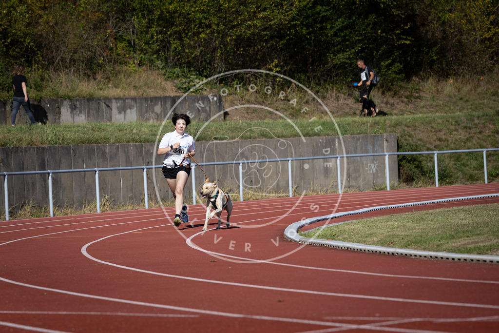 Pfotenfotografie_DV3A8242 | Hundefotografie, Tierfotograf, Pfotenfotografie, Fotoshooting Hund, Hunde Portrait, Hundesport, Hundeportraits, Heideshooting, Hunde, Sportfotograf, Hundefotograf, Turnierhundsport, THS,  - Realisiert mit Pictrs.com