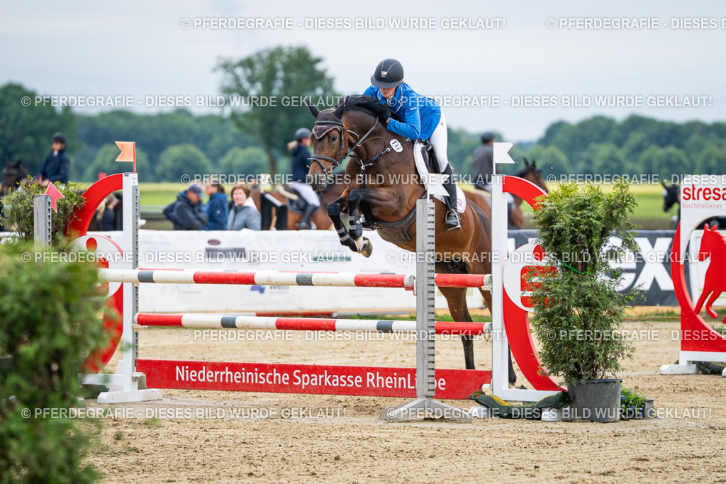 DSC04749 | Pferdegrafie