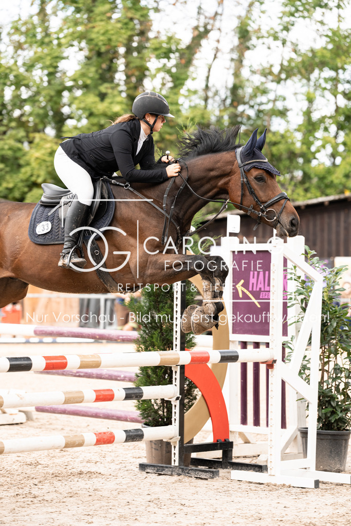 DSC03491 | Carolin Gieschke