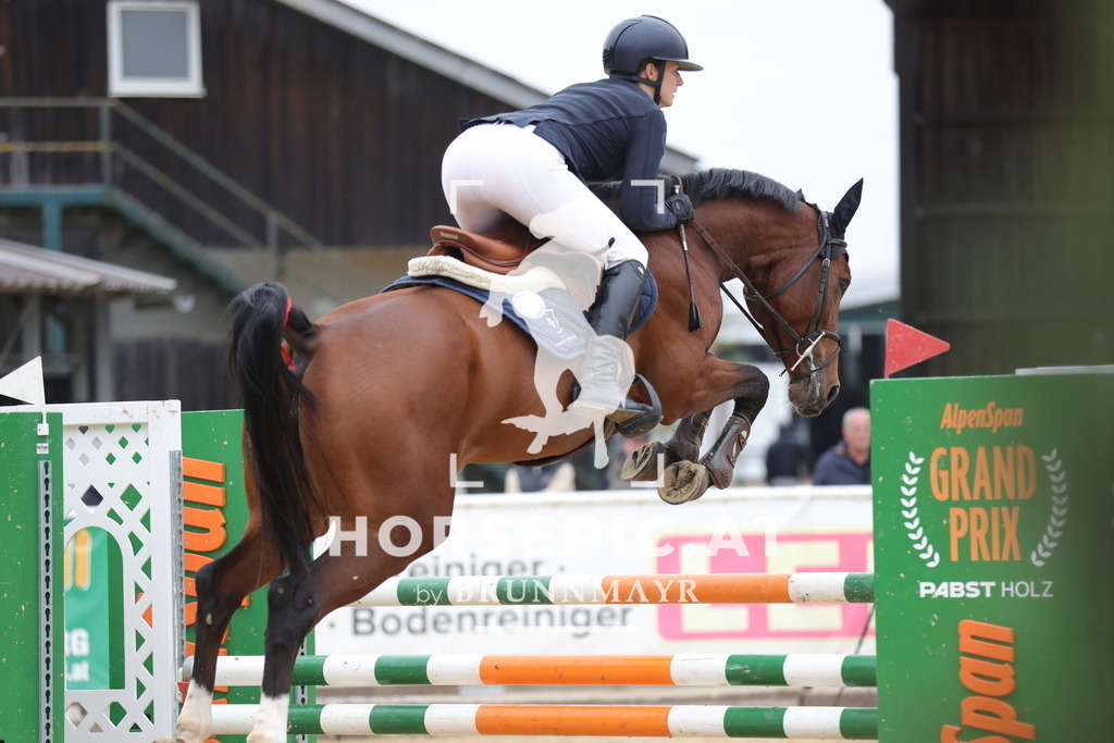 0P6A1706 | Willkommen bei Brunnmayr - Design & Fotografie – Ihrem Spezialisten für Reitturniere und Pferdeveranstaltungen in Oberösterreich, Salzburg und Bayern! Seit über 17 Jahren sind wir leidenschaftlich dabei.