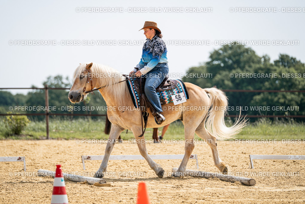 DSC09969 | Pferdegrafie