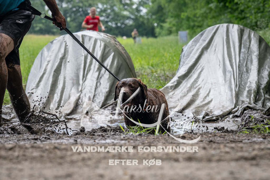 1119_ZZ92405 | kk-dogfotos