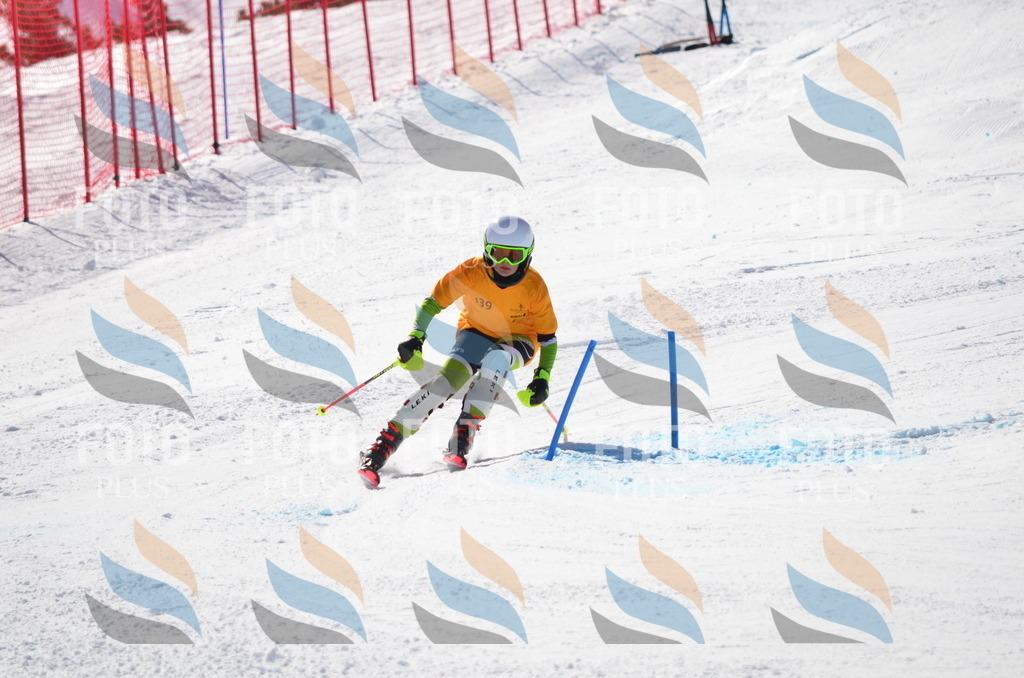 C9710 | holidayphoto