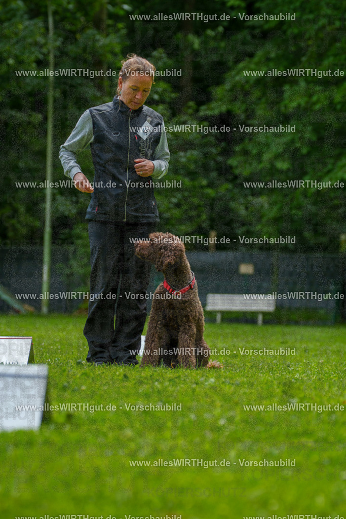 @allesWIRTHgut_Tierfotografie - www.allesWIRTHgut.de - 7R501111 | Professionelle Tierfotografie in Mönchengladbach von Daniel Wirth (allesWIRTHgut). Liebevolle & natürliche Bilder von Hunden & Katzen für unvergessliche Erinnerungen.