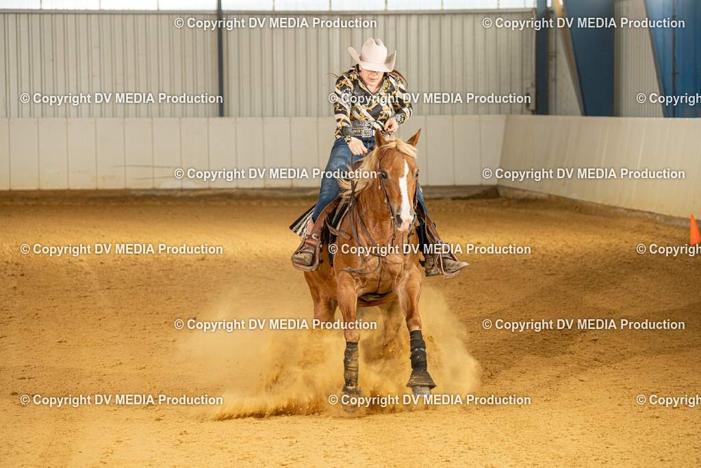 MIT00143 | dv-media-shop - Realisiert mit Pictrs.com