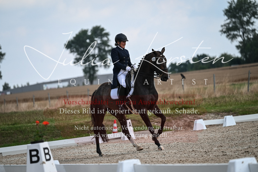 DSC_2255 | Pferde- und Turnierfotografie in Westsachsen. Pferdeportraits, Auftragszeichnungen und intuitive Kunst.