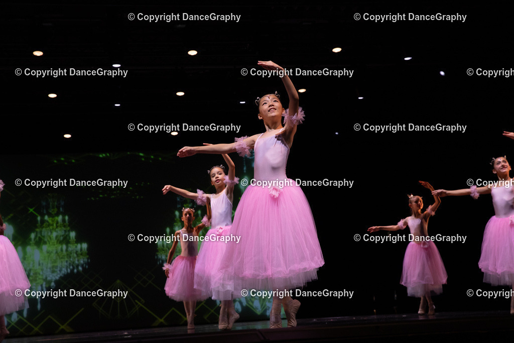 GPHY6722 | DanceGraphy - Realisiert mit Pictrs.com