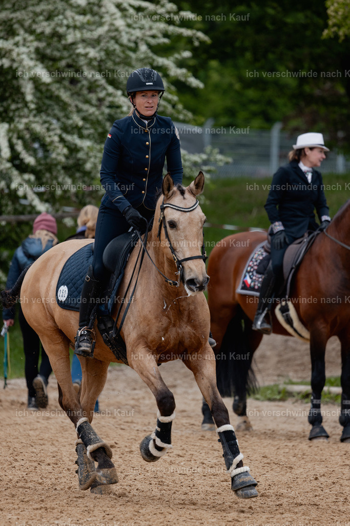 PI26_SP_StoibphotographyC2_C0839.jpg | working equitationturnier fotograf videograf stoibphotography marixx film working equitation deutschland reitsport turnierfotografie eventfotografie equestrian events