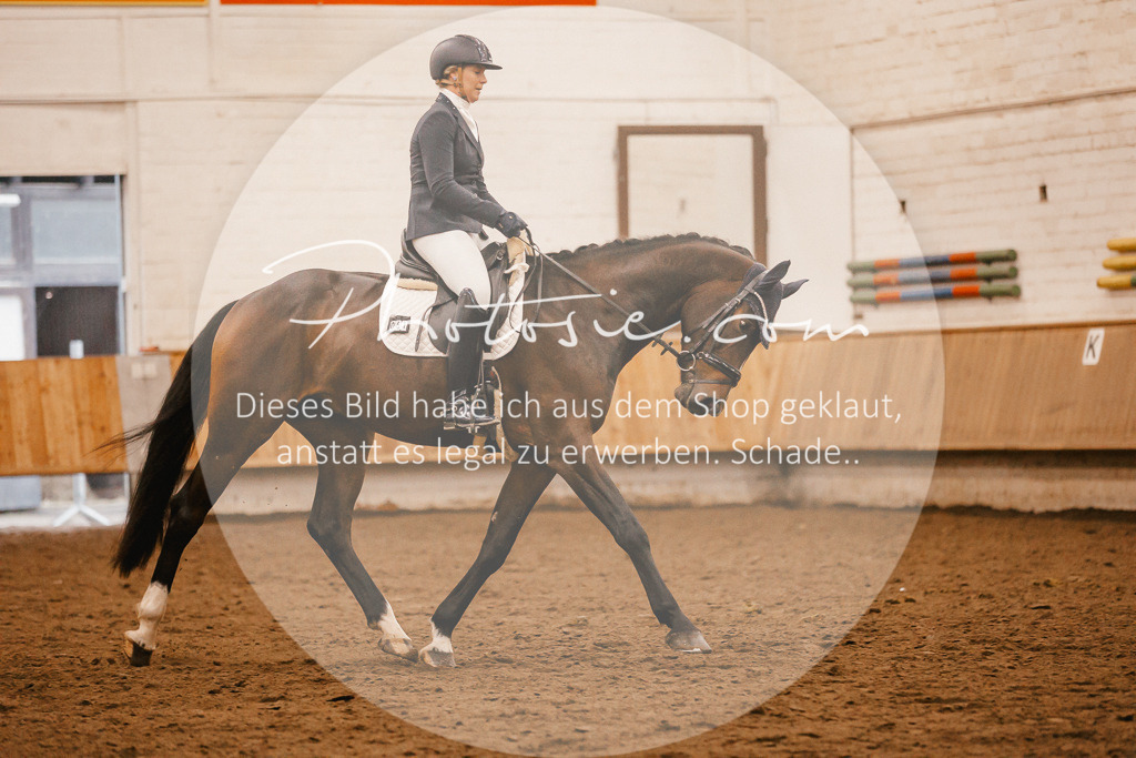 3I6A4506 | Stimmungsvolle Portraits und Reitsportfotografie im Ruhrgebiet und im Münsterland.

Pferdefotografie, Hundefotografie, Tierfotografie, Reportagen, Portraits von Tier und Mensch, Turnierfotografie in Bochum, Recklinghausen, Marl, Haltern am See, Dülmen.. - Realisiert mit Pictrs.com
