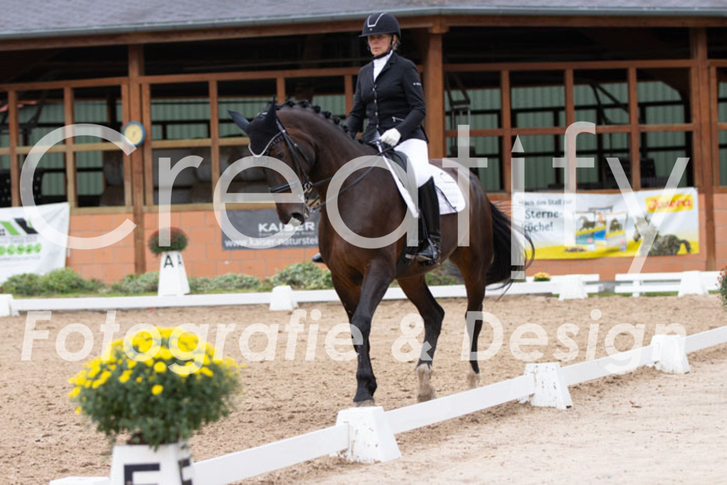 IMG_7575 | Creatify Fotografie