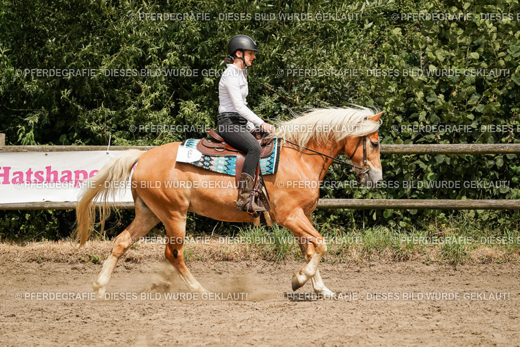 DSC00371 | Pferdegrafie