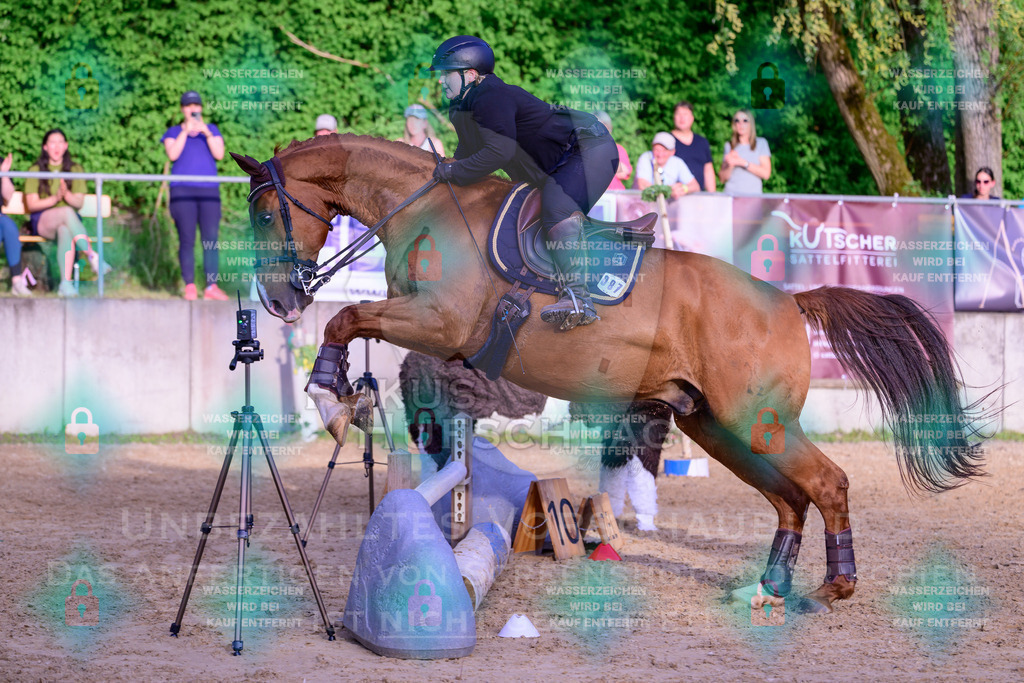 02052026-Giesenbach-03-Speedtrail-1075 | Fokus Hufschlag Fotografie - Realisiert mit Pictrs.com