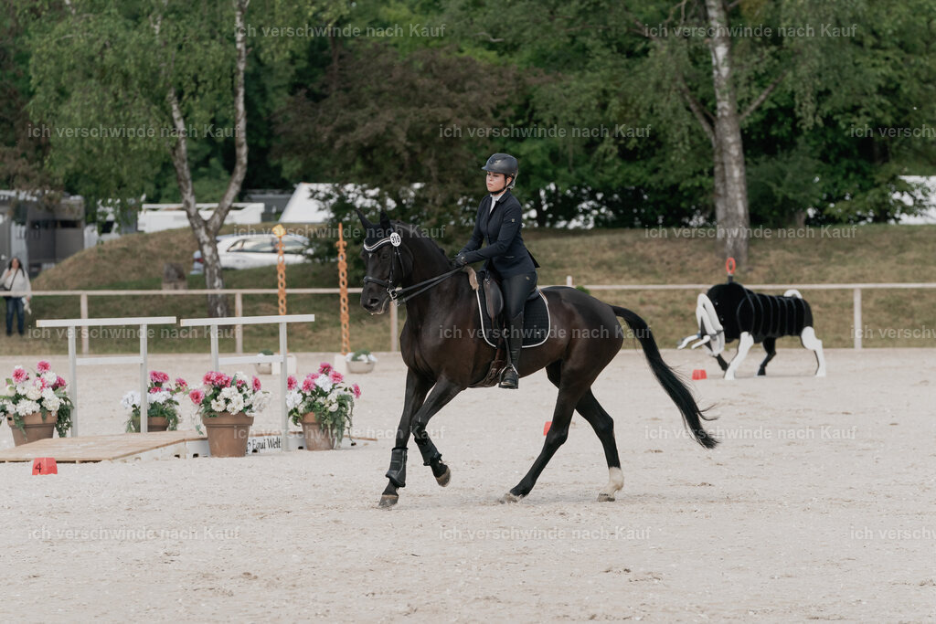 WE_ST_Stoib_316_PI2025_938 | Pferd International München 2025