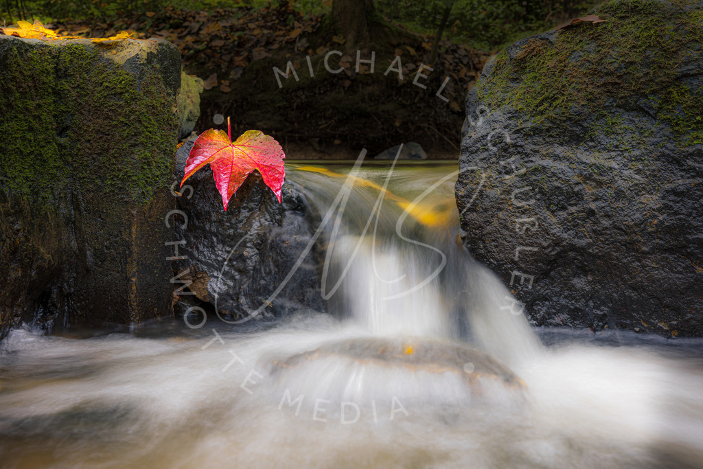 2022-10-31 Herbst Blatt Langzeitbelichtung Fluss - 005 | Schwotte Media - Realisiert mit Pictrs.com