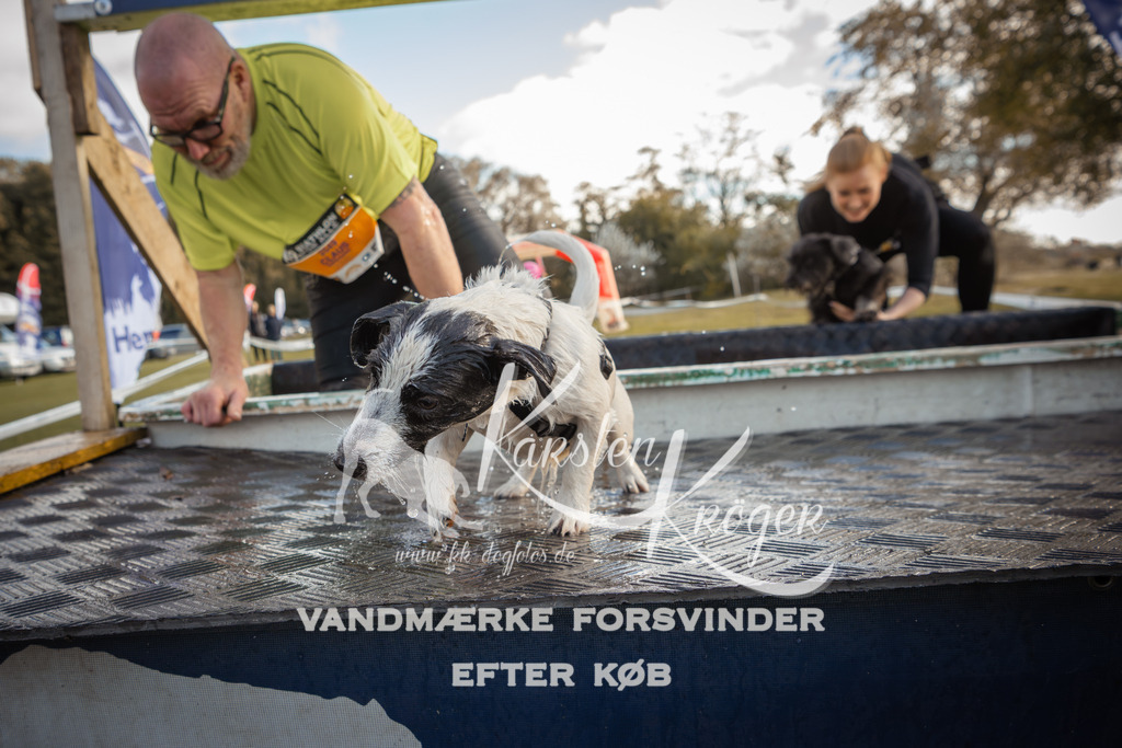 1321_ZZ90285-2 | kk-dogfotos
